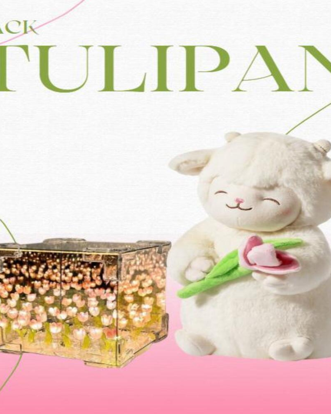 PELUCHE CORDERITO TULIPAN🌷 - TULIPAN INFINITO CAJA DE REGALO🎁